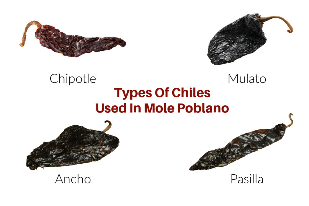 Infographic of the different types of dried chiles.